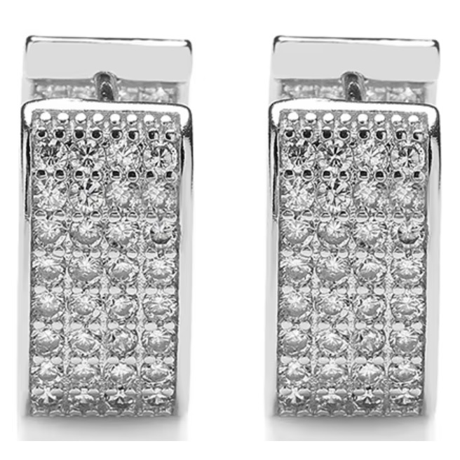 Auskari BR-27469 - Sudraba